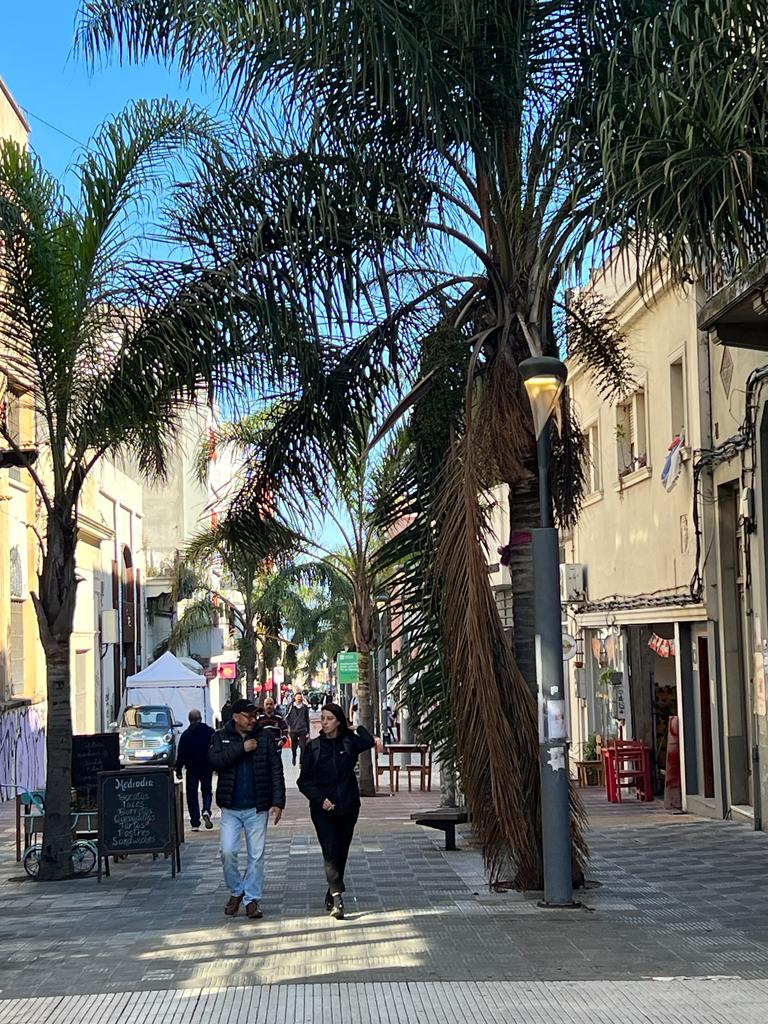 Obrázok WhatsApp 2023-07-05 o 21.57.421